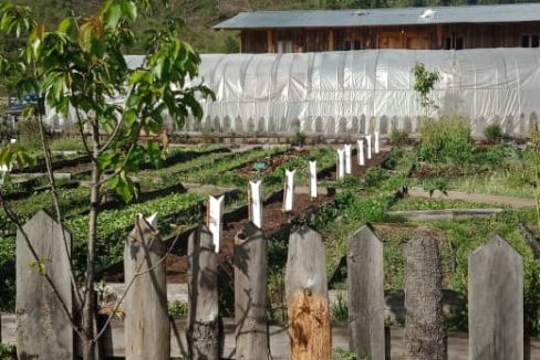 housing.bt land for sale Bumthang 4